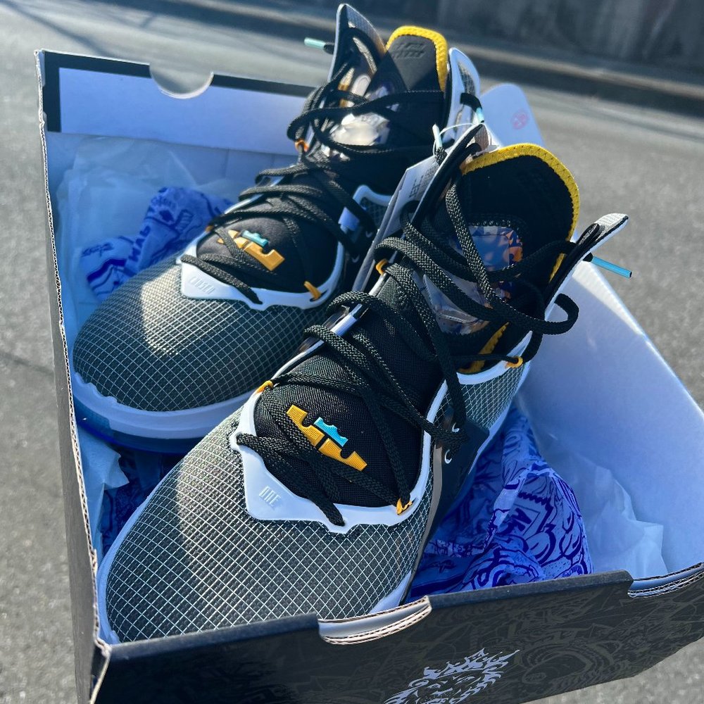 LeBron XIX